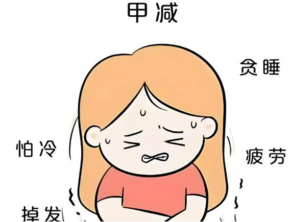 合肥中山医院科普：颈前莫名鼓包、容易暴躁疲惫？别忽视你这个“生命腺”